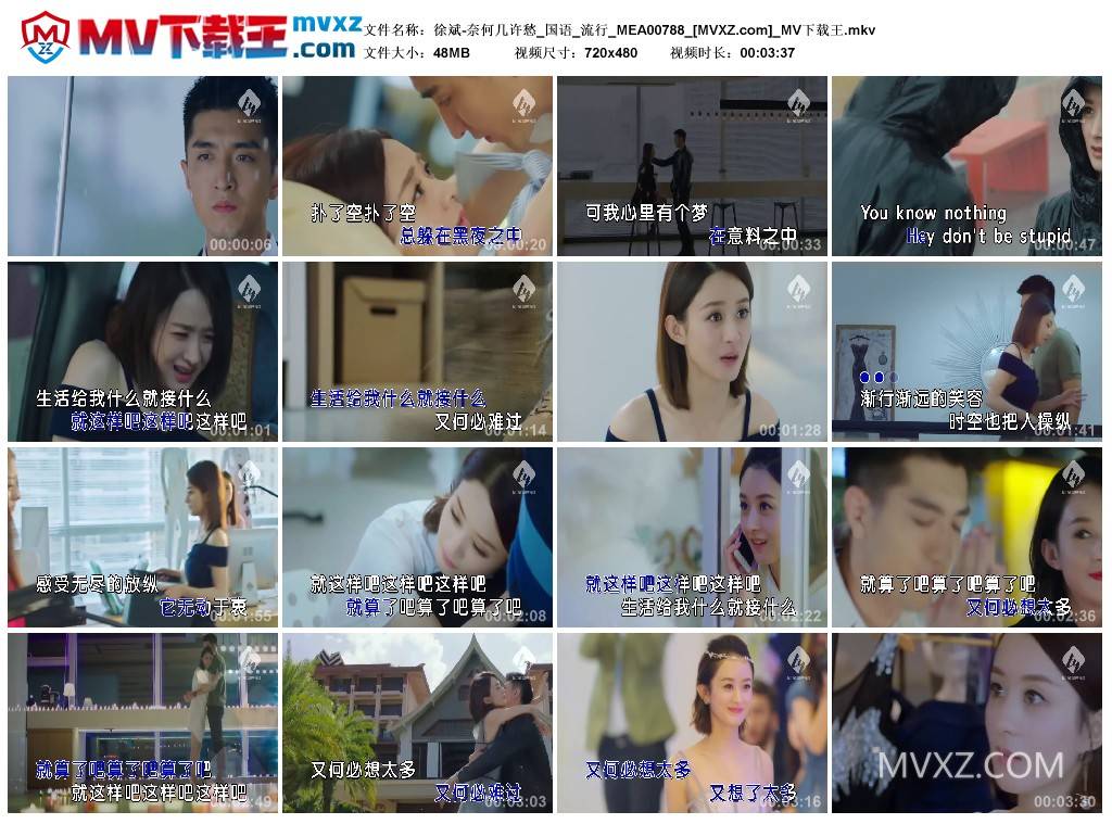 徐斌-奈何几许愁_国语_流行_MEA00788